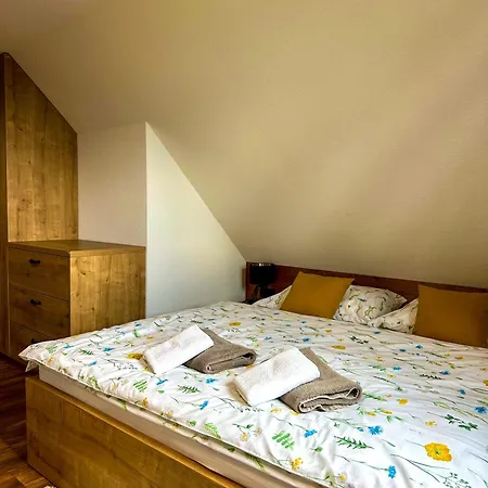 Drevenica Lesanka 別荘 *