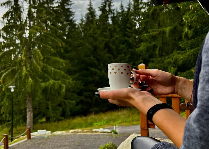 Drevenica Lesanka Dom wakacyjny